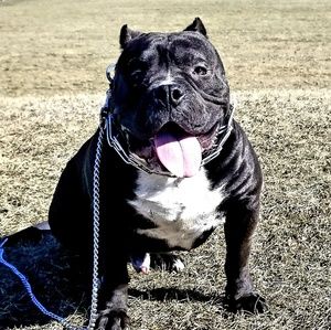 Meet your Posher, Charles